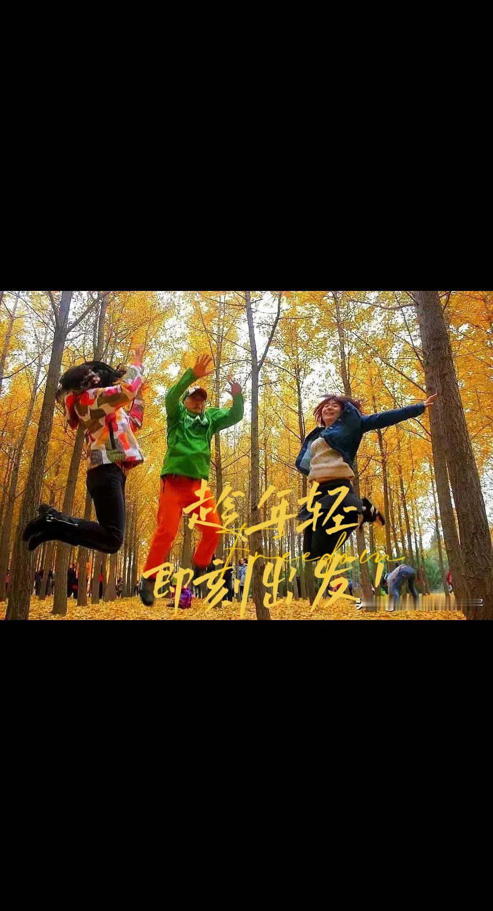旅行推荐官 喜欢爬山🏃感受大自然的气息🍀