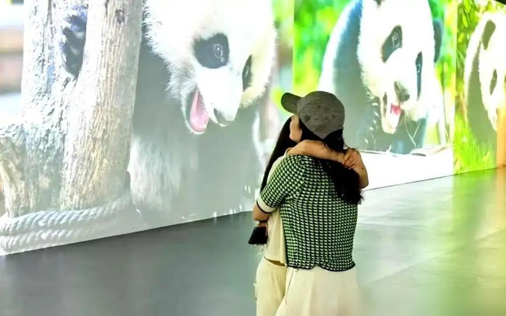 葛荟婕直播里那句“感谢子怡姐姐”，谁能想到，这口感谢，晚了十年，却捅破了多少“继