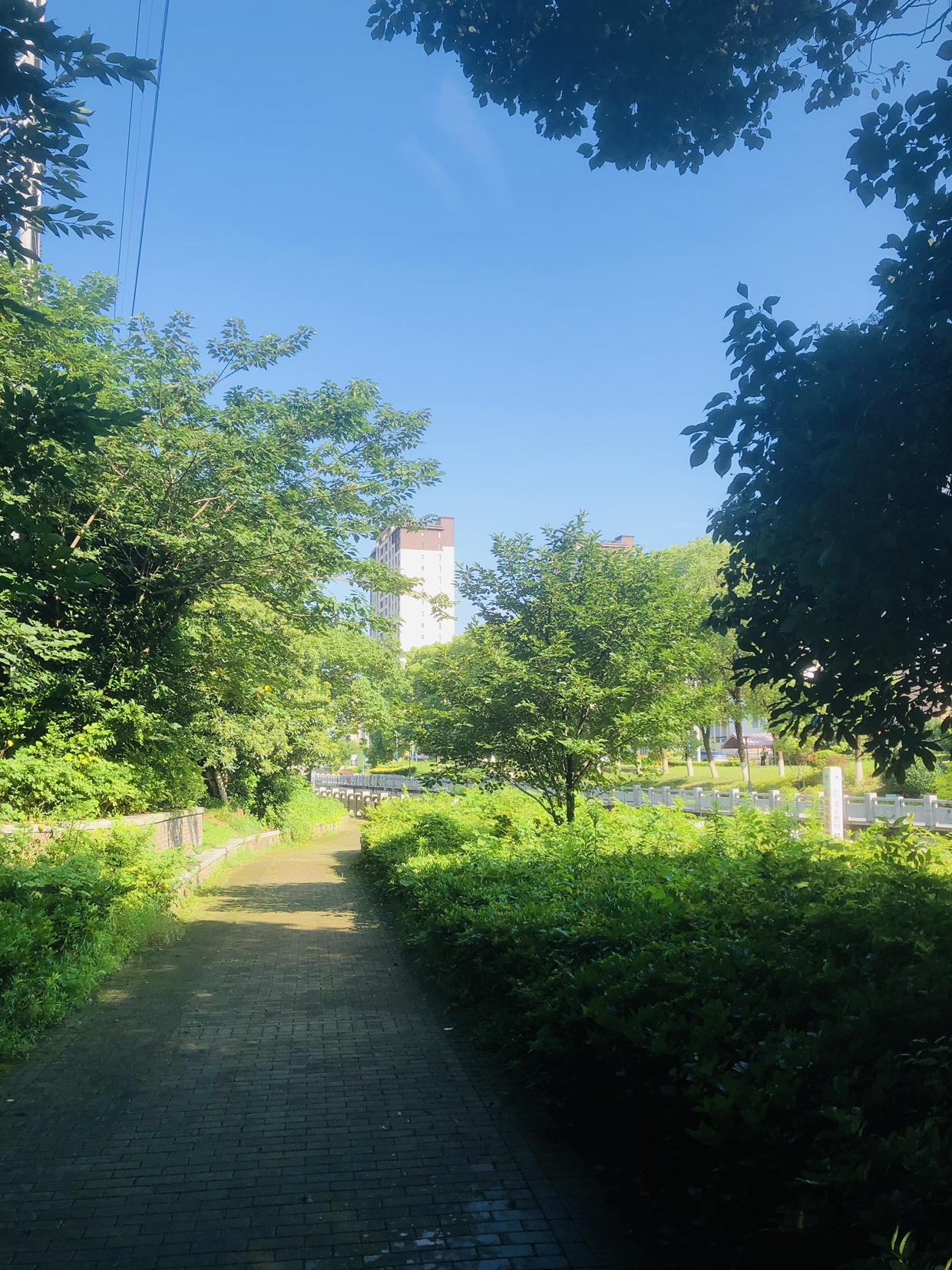 我的今日状态：😁轻松愉快
我这里的天气：☀️晴天
常州今天晴空万里，气温飙升到