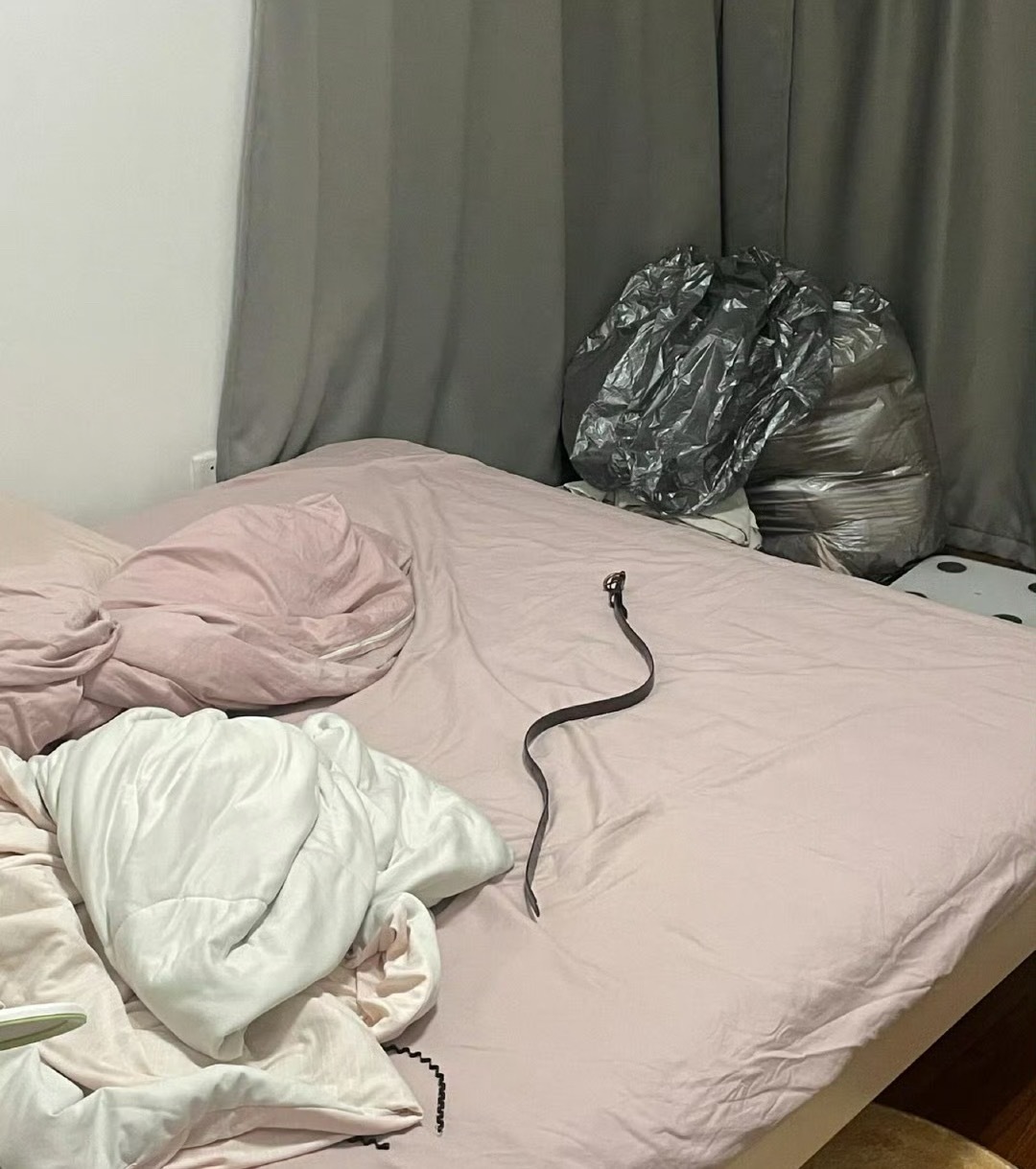 推开卧室门吓一跳[裂开] ​​​