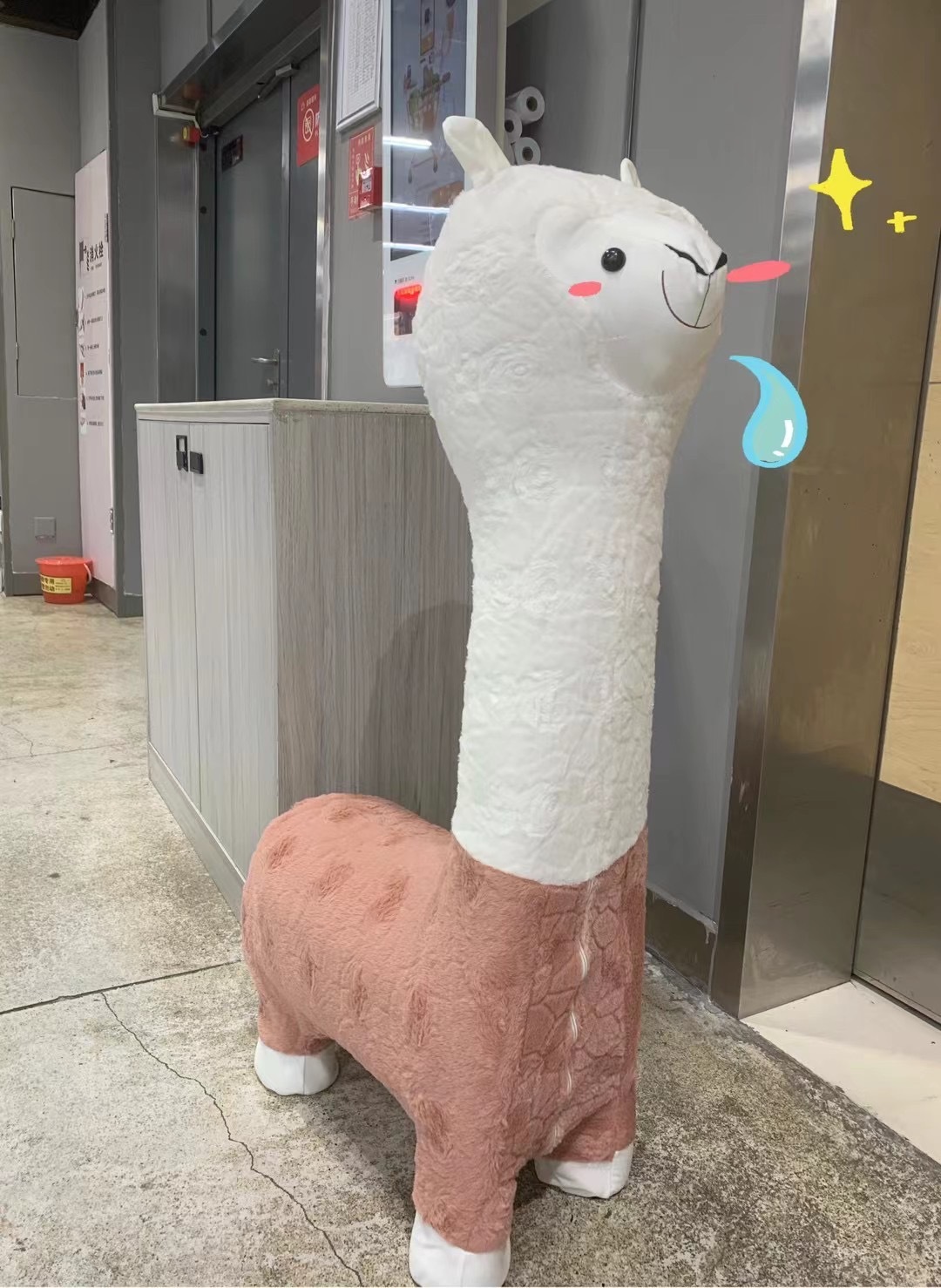 我已分不清老婆是需要洗发水还是需要买洗发水送的羊驼🦙 ​​​