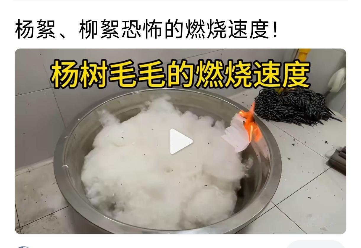最近这几天，似乎呼啦啦出来许多“讨伐杨树”的事情 ，这个是考虑环保？怎么看着像有