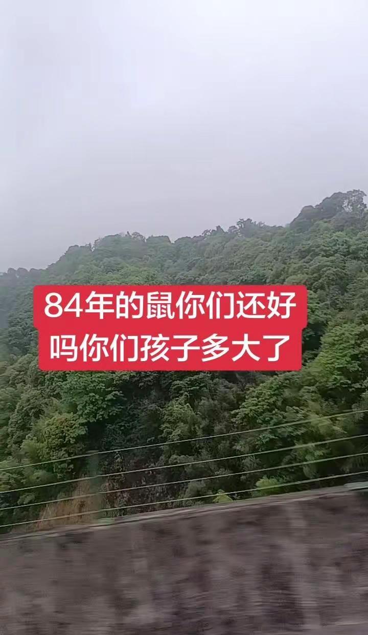 84年属鼠的我，大山深处寻心安。🌿84年属鼠的我，总在平凡日子里寻找心安：穿村