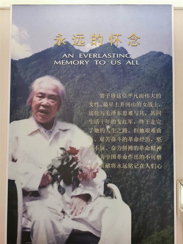 1979年，贺子珍坐着轮椅进京，谁都没敢说，她此行不仅是见毛主席最后一面，还藏着