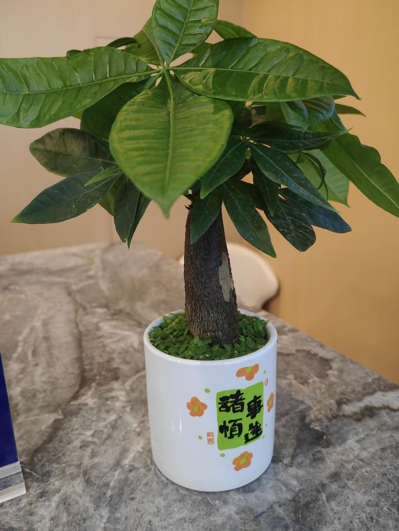 一个简单的方法，确定你的喜用旺运颜色。大部分人穿自己喜用颜色的衣服，比穿非喜用颜