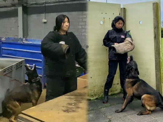 🇳🇱尊敬每一只工作犬的power