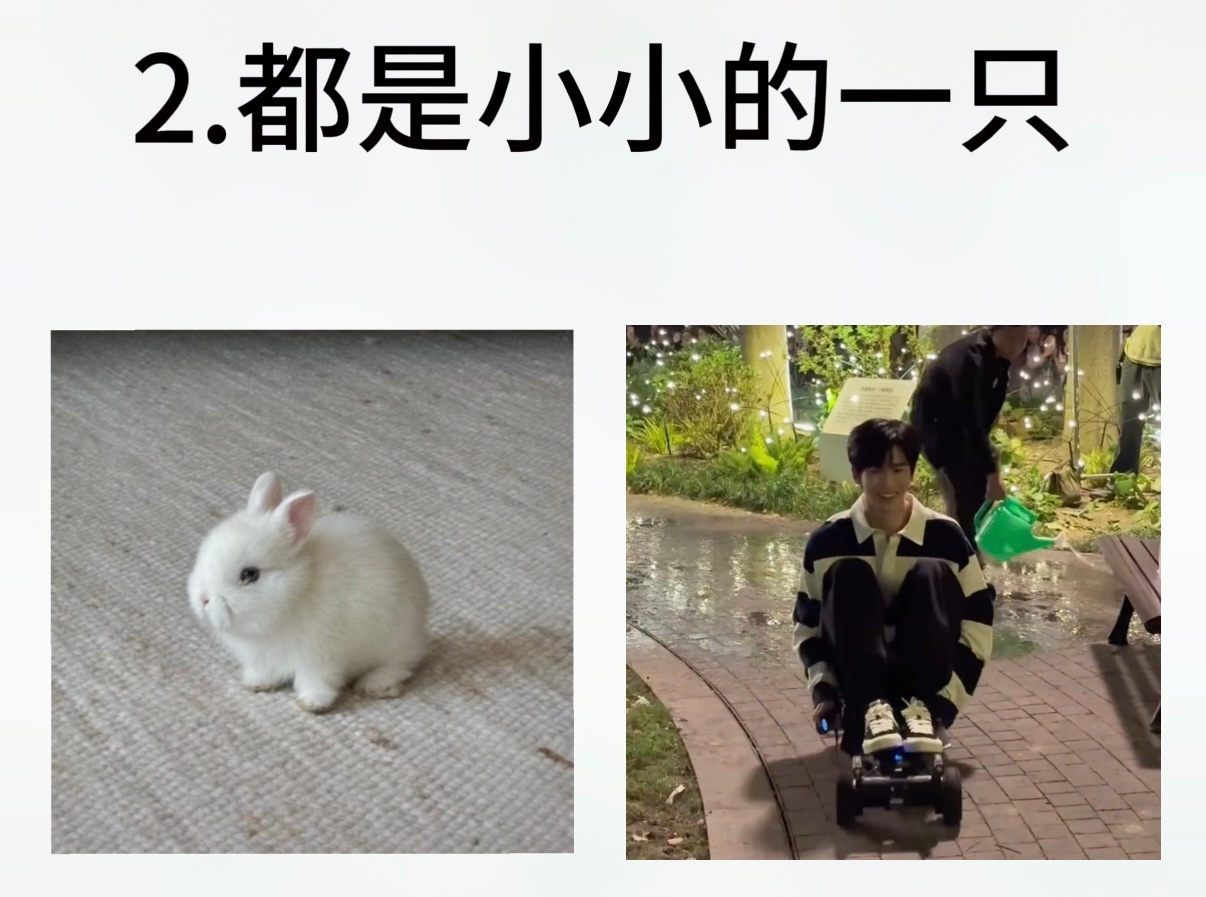 人类一败兔地 