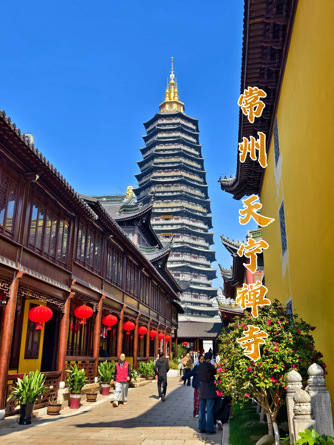 常州天宁禅寺|登顶世界最高佛塔之一