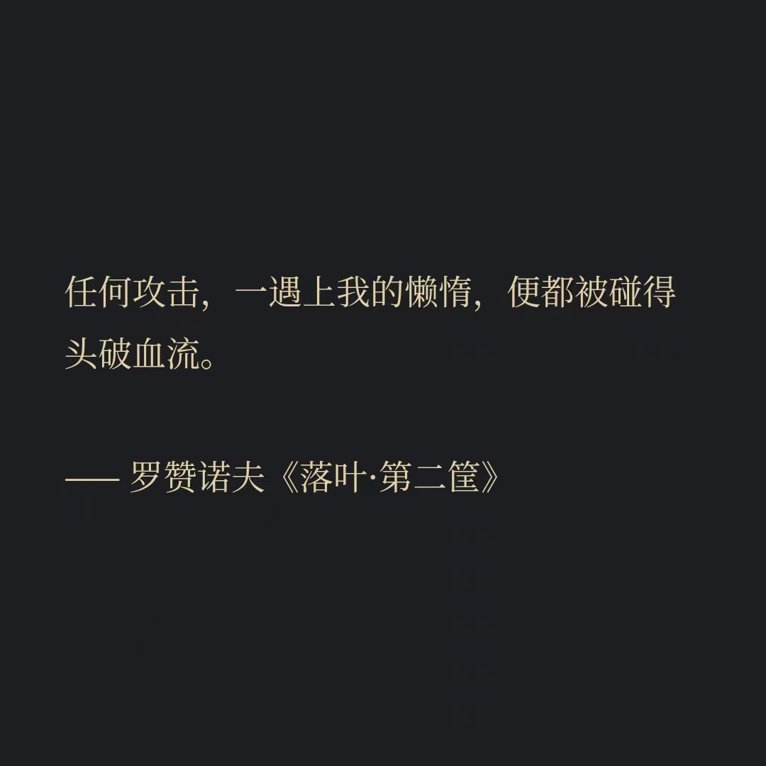 任何攻击，一遇上我的懒惰，便都被碰得头破血流。—— 罗赞诺夫《落叶·第二筐》 ​