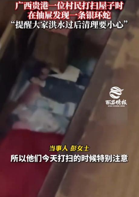 后怕！广西贵港，洪水退去后，女子一家人清理一楼，突然在抽屉里看到有个东西在动，小