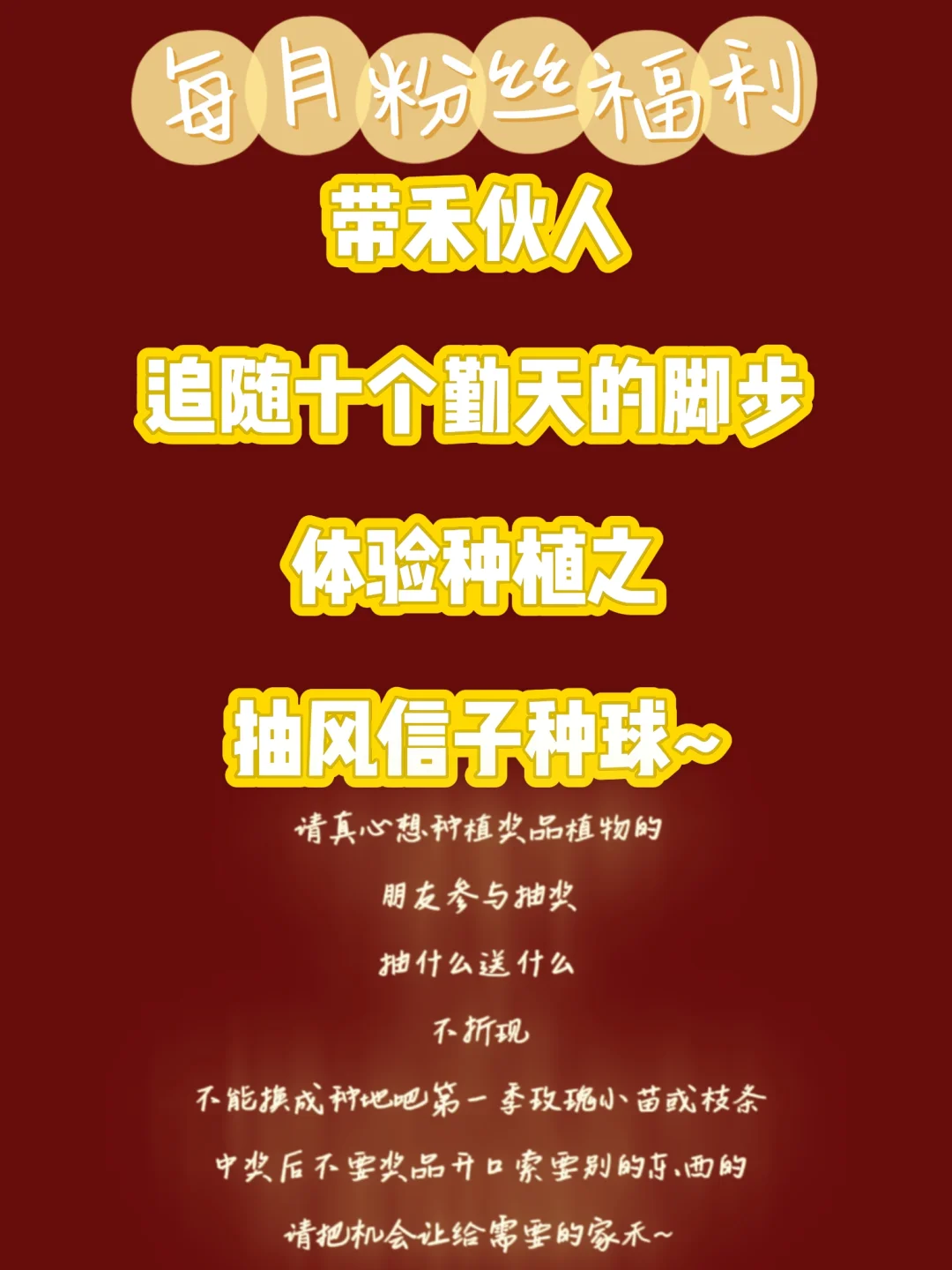 亲爱的禾！邀请你来种风信子~