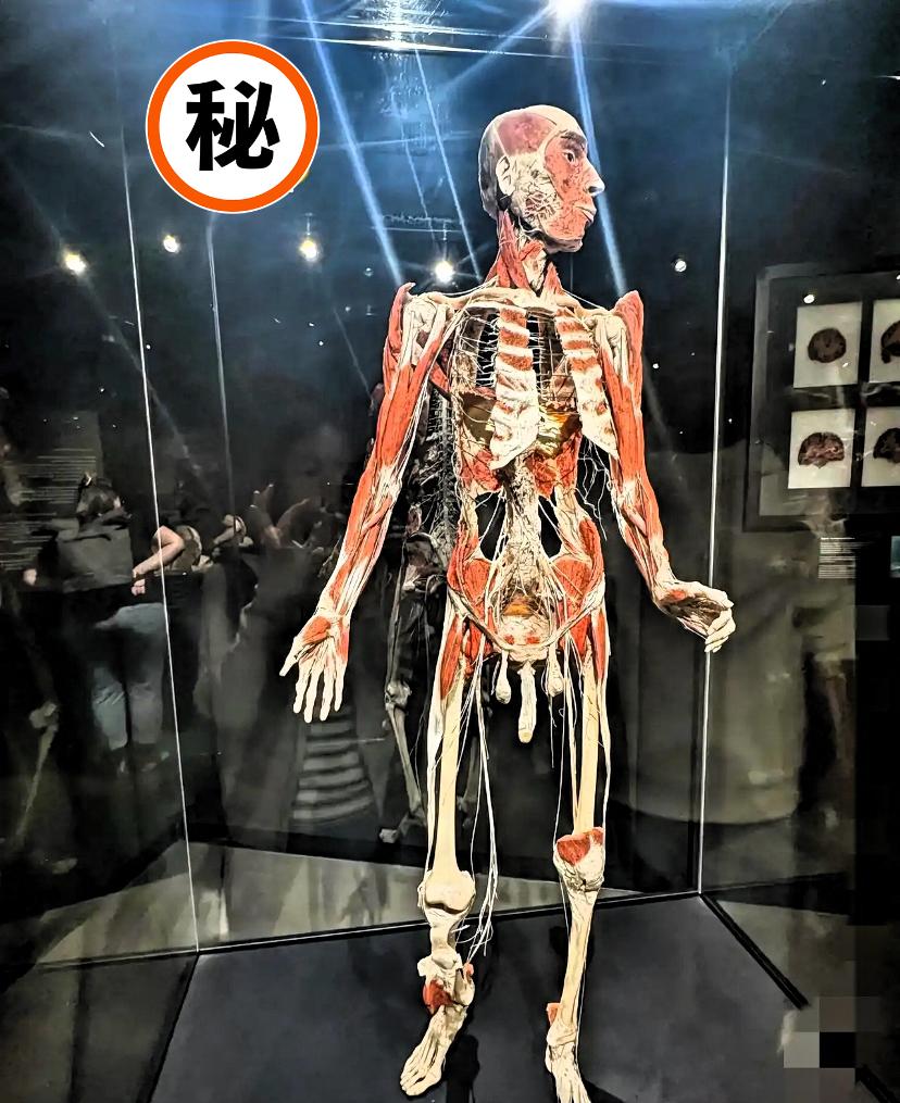 美术馆这展品看懵了！
像真人又像标本，
原型居然是20岁少年？

刷到网友发的美