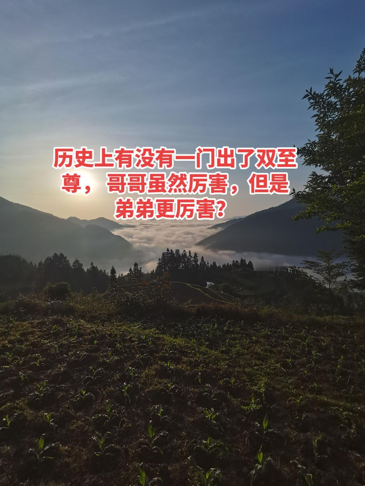孙策与孙权（东汉末）
哥哥孙策：人称“小霸王”，17岁起兵，25岁平定江东，奠定