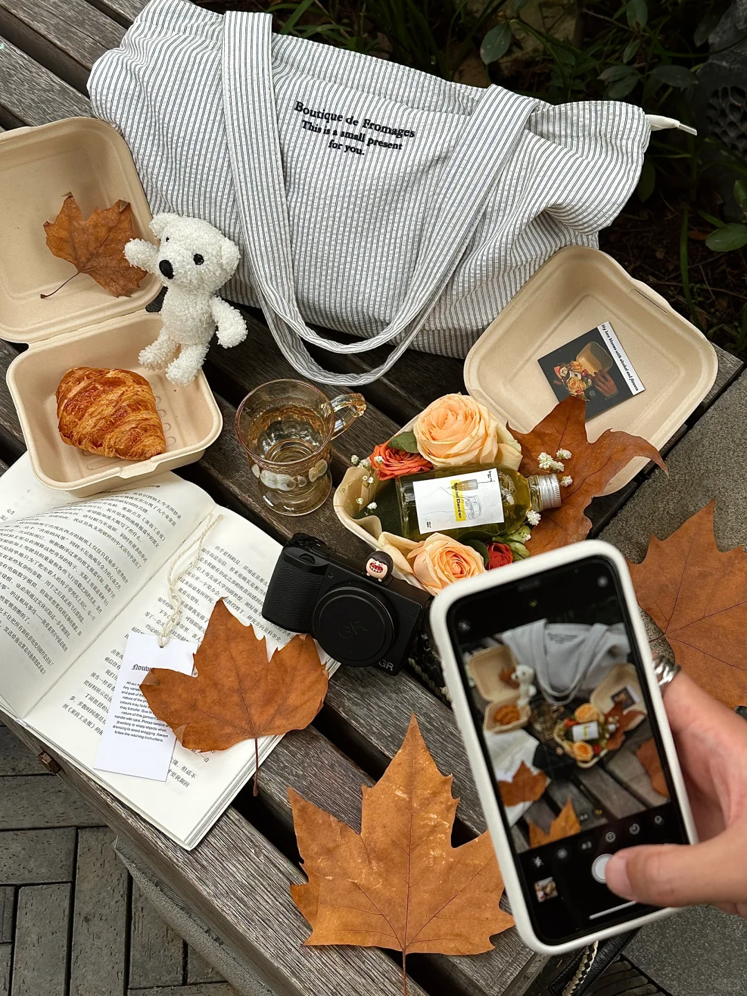 成都的秋天🍂已经到了最适合野餐的时候！！