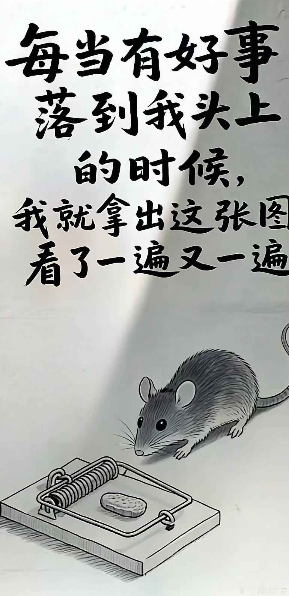 江湖路险小心为上该撤就撤或可无恙 ​​​