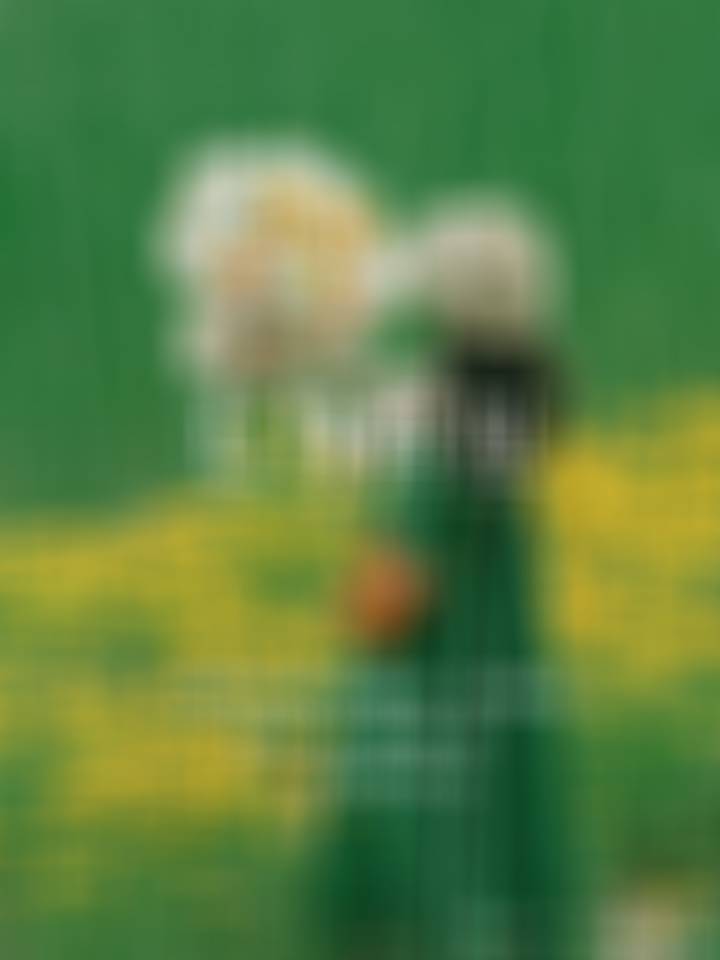 串门时，看见邻家小孩正自抓耳挠腮苦思冥想，原来是被词语解释难住了。我便以谆谆善诱