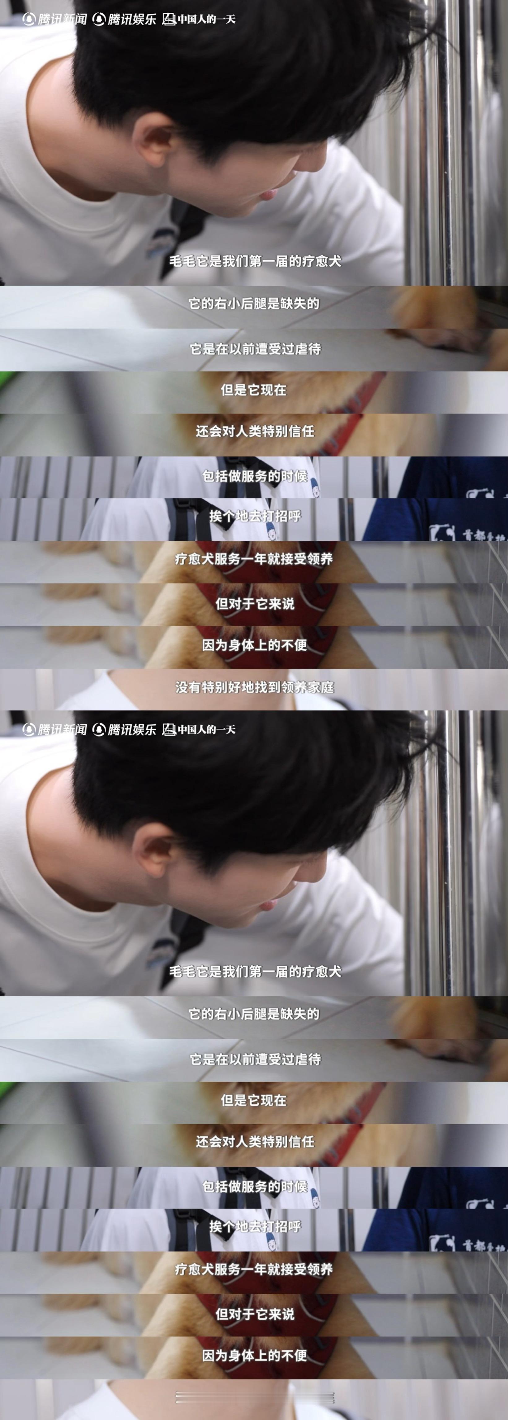 黄子弘凡探望截肢疗愈犬眼眶湿润黄子弘凡吉他弹唱陪伴孤独症孩子 黄子弘凡带着疗愈犬
