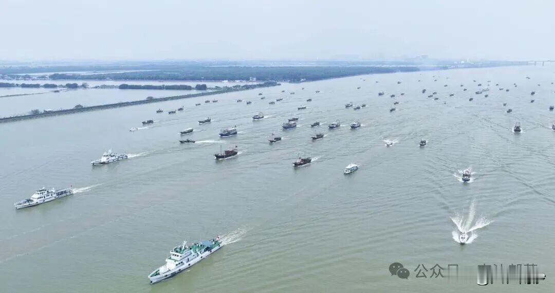 【南沙正式开渔！两大水产市场有防“坑”新举措】8月16日12时，随着一声悠长的鸣