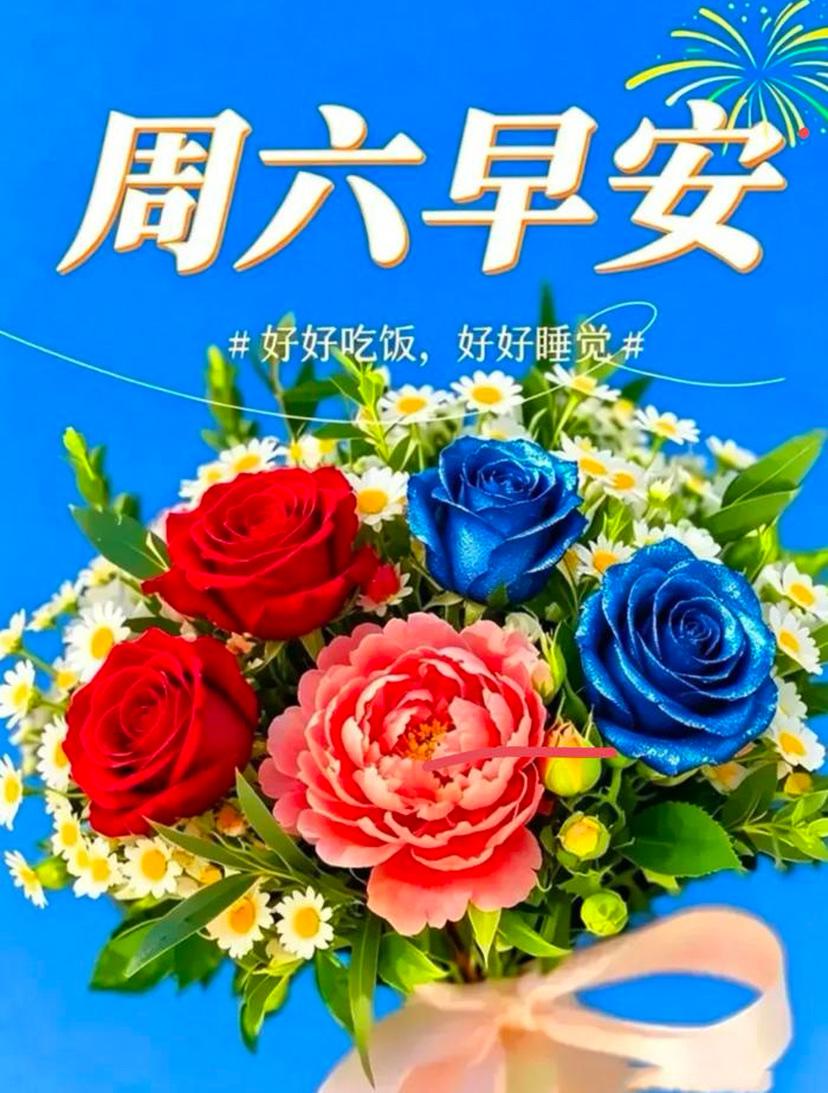 🌺2026./7.月11日，晨辉拥夏，凉韵沁心，自在清欢🌺

🌿🌅霞光倾