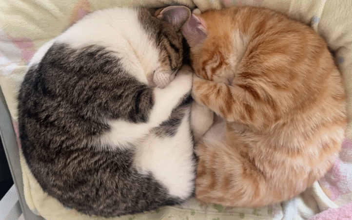 我俩天下第一好 