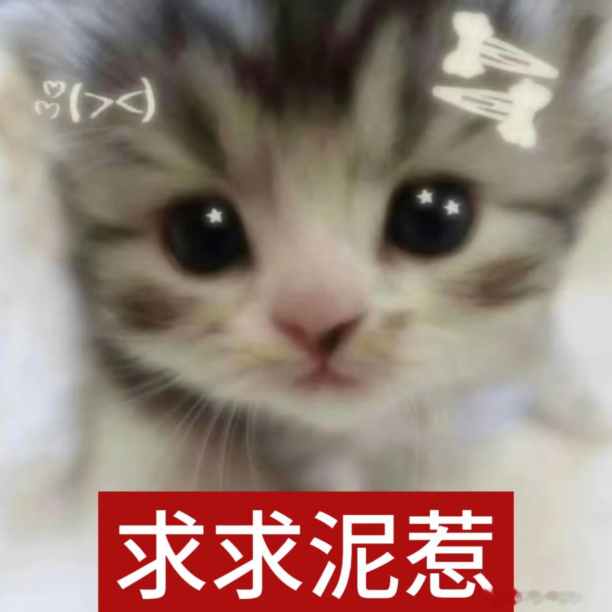 踩踩我置顶好不好呀女孩们。 