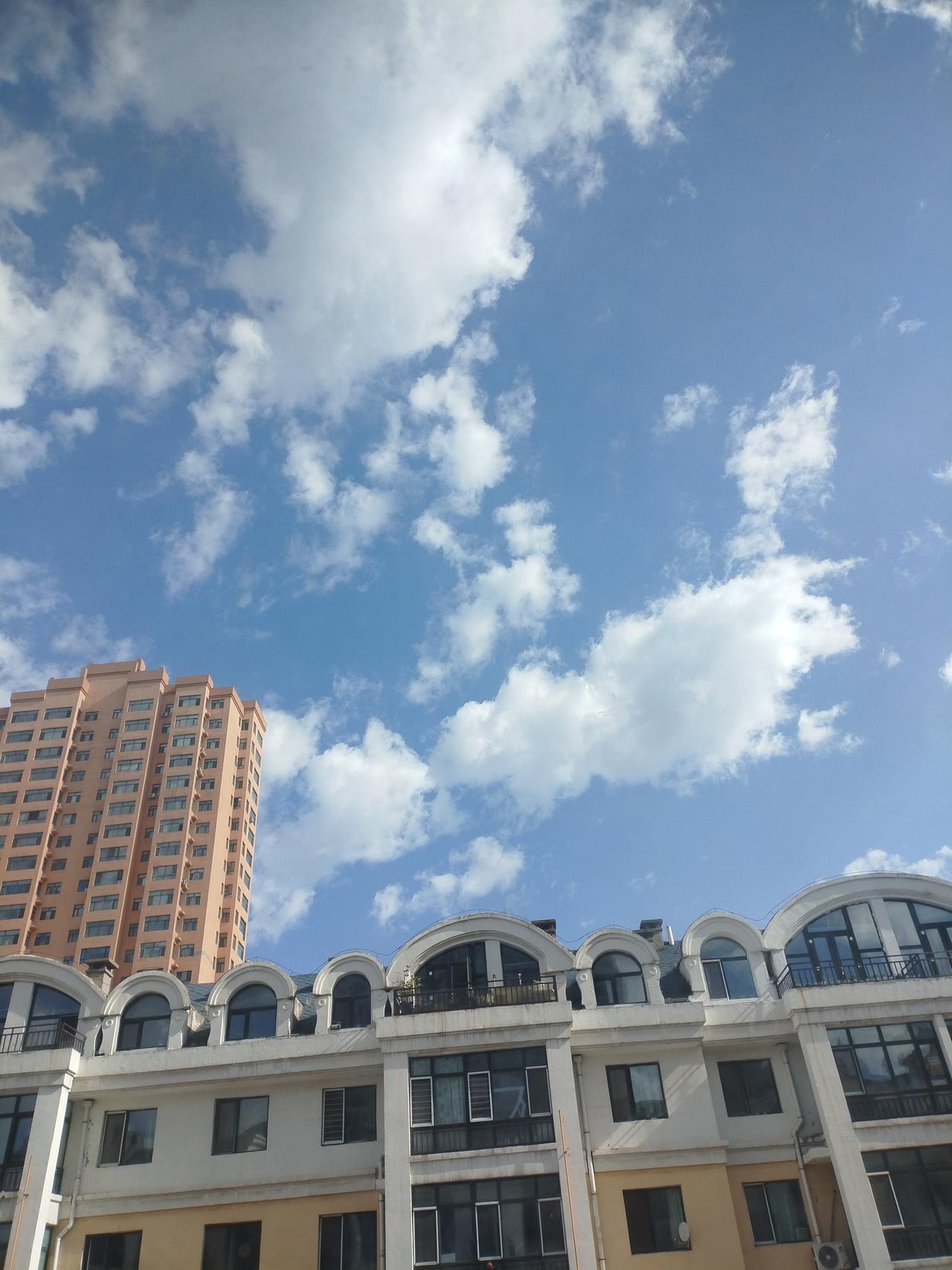 晨观哈尔滨晴空
 
晓风吹散宿云轻，漫撒琼花缀碧晴。
几缕闲云浮楼宇，一城清色入