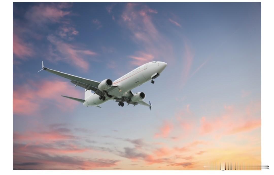 中日紧绷！逾49万张赴日机票取消 陆航空业惨受冲击

据一名资深航空分析师的说法