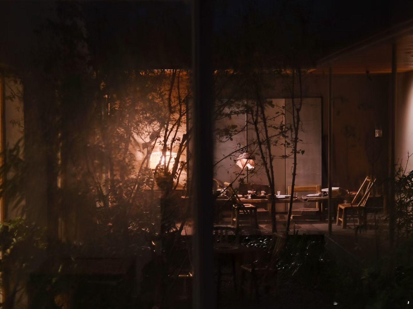 生活手记入夜   灯光如昼一盏茶    滋味万千慢饮闻香     感四时之变泡茶