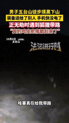 万万没想到！五台山夜路上，一只狐狸竟成了徒步男子的“救命向导”！男子下山时天全黑