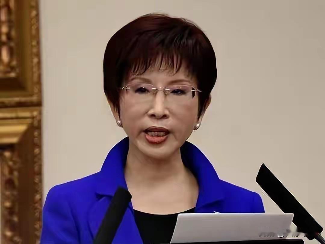 岛内政论节目上，洪大姐一席话彻底撕碎蓝营多年摇摆避事的遮羞布！洪大姐硬核喊话：这
