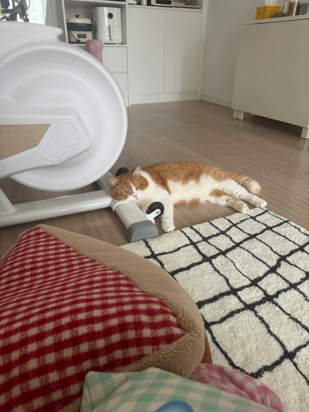 午觉睡了他的沙发