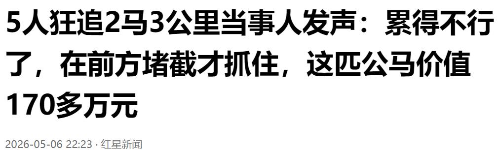 场面太热闹！5 个人追 2 匹马狂奔 3 公里，当事人坦言跑得筋疲力尽。

城市