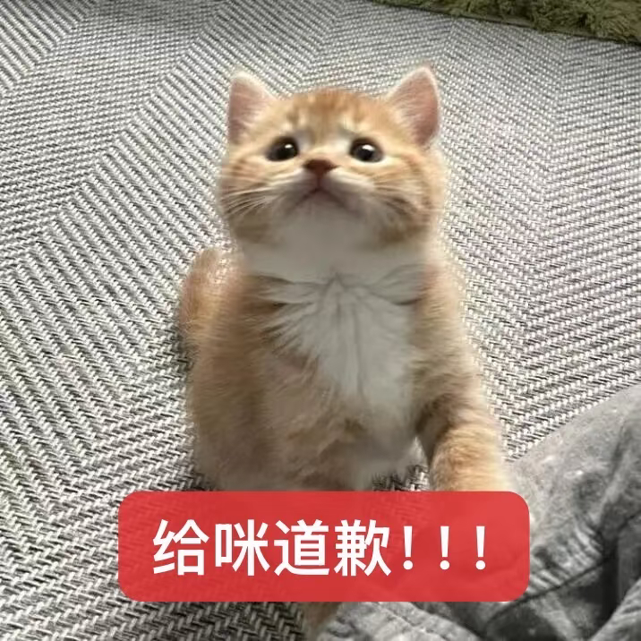 无数次提醒自己为什么会来到大眼这边有时候真的会被傻福气到想单机但是转念一想爸爸妈