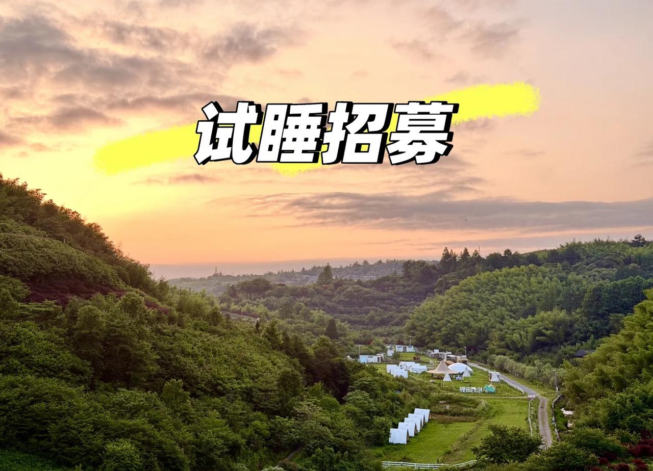 试睡招募｜3h遁入山野 栖居岚川不二谷
清风漫山谷，夏树满青芜🌿
褪去城市燥热
