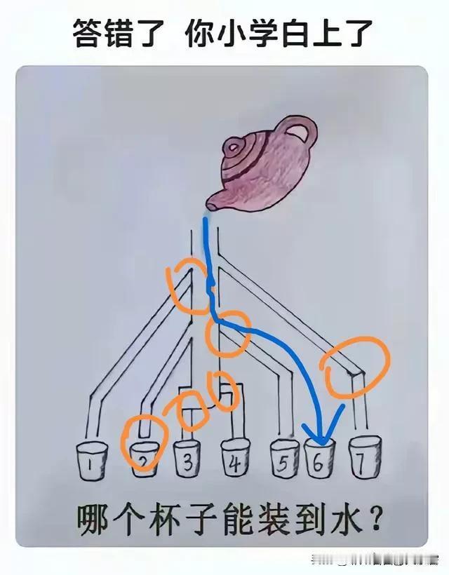 以后谁都不准拿这样的智力题考成年人了！#分享烧脑问题# #每日动脑筋# #趣味智