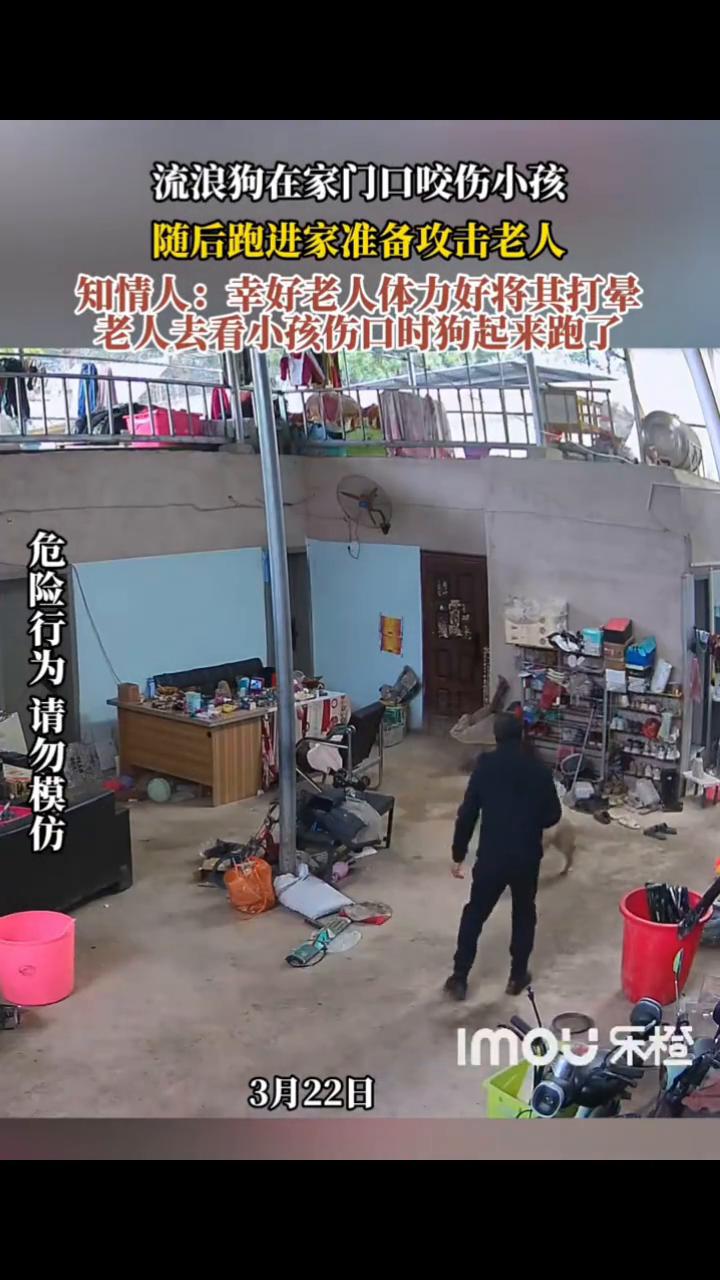 流浪狗在家门口咬伤小孩，随后跑进家准备攻击老人。知情人：幸好老人体力好将其打晕。