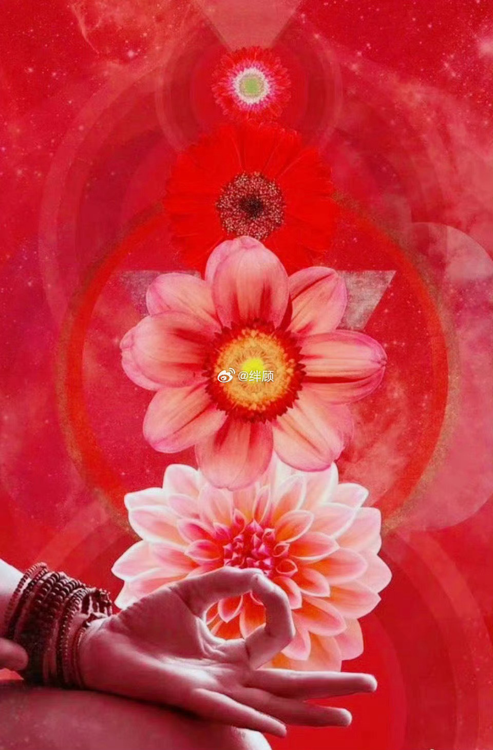 转，九月万事顺意，一切OK ​ ​​​