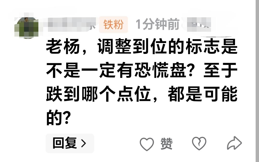 基金：调整到位的标志是不是一定有恐慌盘？至于跌到哪个点位，都是可能的？  这是一