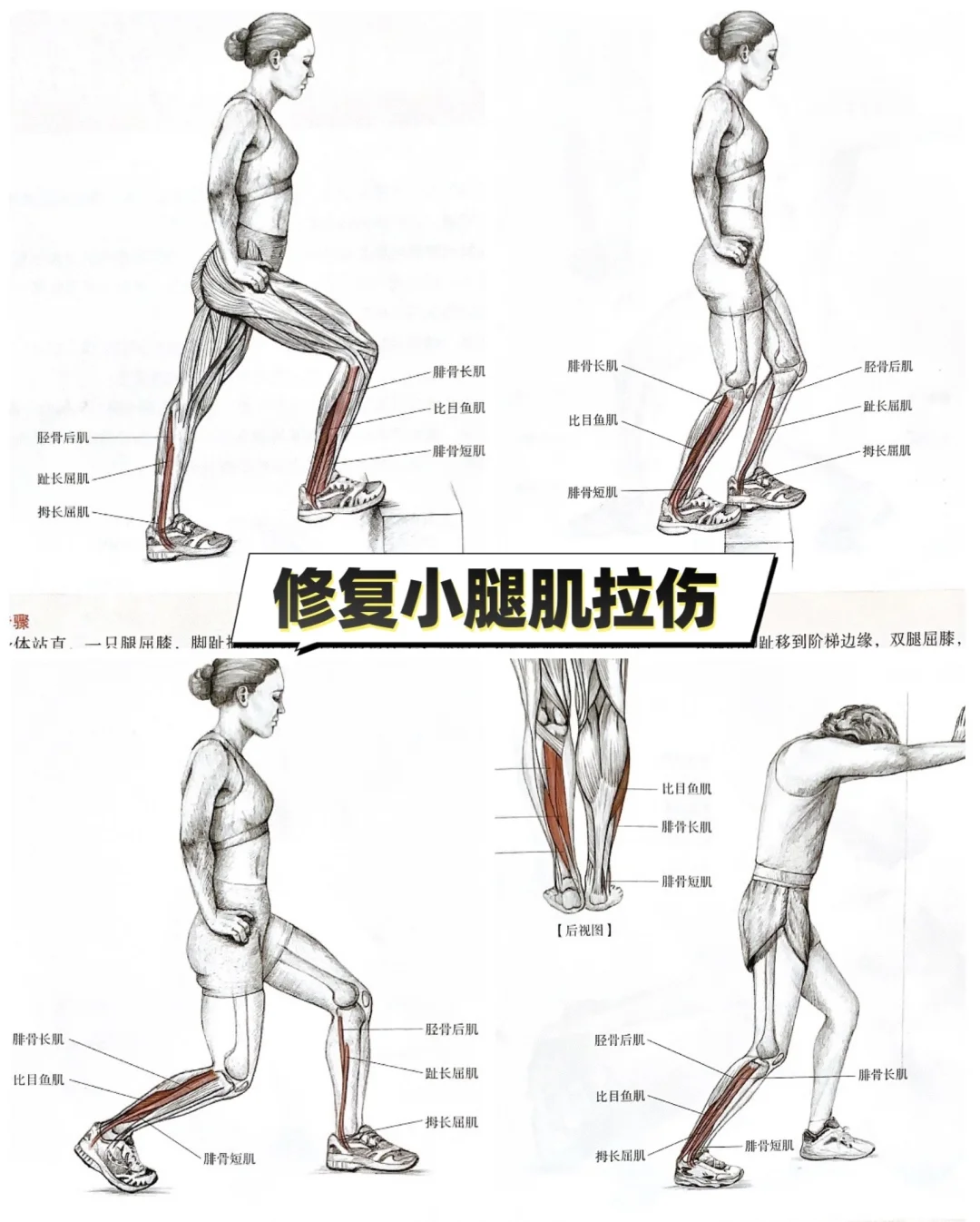 🧘‍♀️舒缓小腿后侧肌肉紧绷？拉伸教程来啦👣