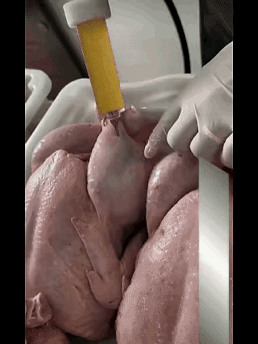 我估计注入鸡肉的是违法增重保水混合液，含清水、食盐、磷酸盐等，商贩靠这让鸡肉增重