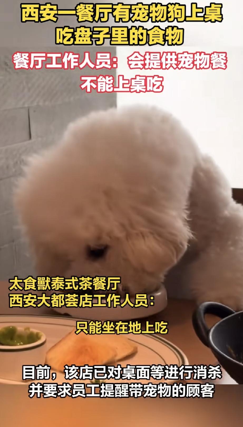 但有一点养宠者必须要清楚，你的宠物在你的眼中，是你的家人，但在外人的眼中，它就是