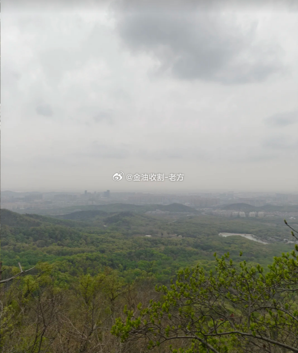 马年登高！新年步步高升🧧爬山的乐趣，一半在风光，一半在身旁这群同频的队友～因为