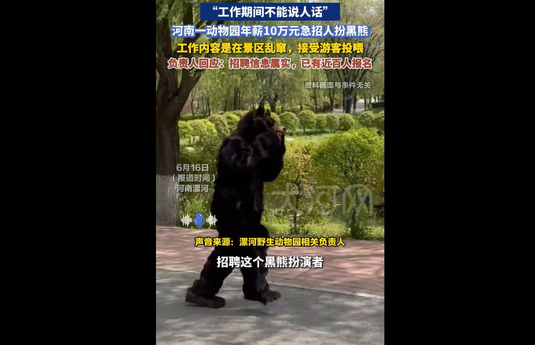 近日，河南漯河一野生动物园推出趣味高薪岗位，年薪10万元招聘工作人员扮演黑熊。