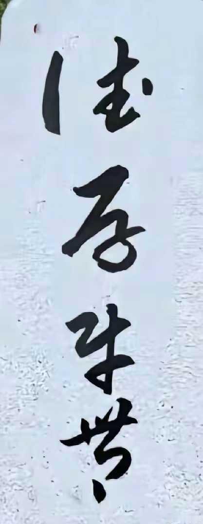 惭愧啊！一个字都不认识[捂脸][捂脸]