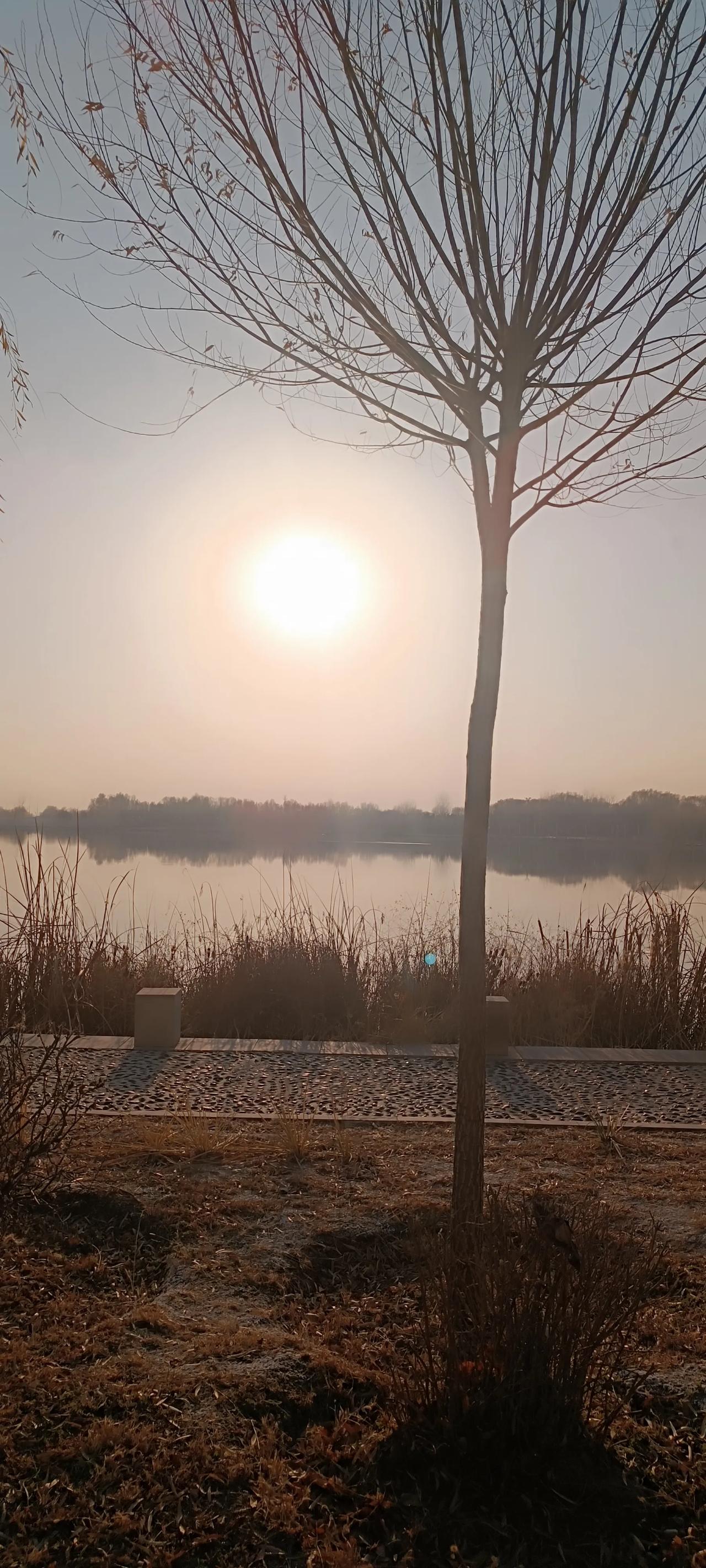 晒图笔记大赛落日余晖待你而归