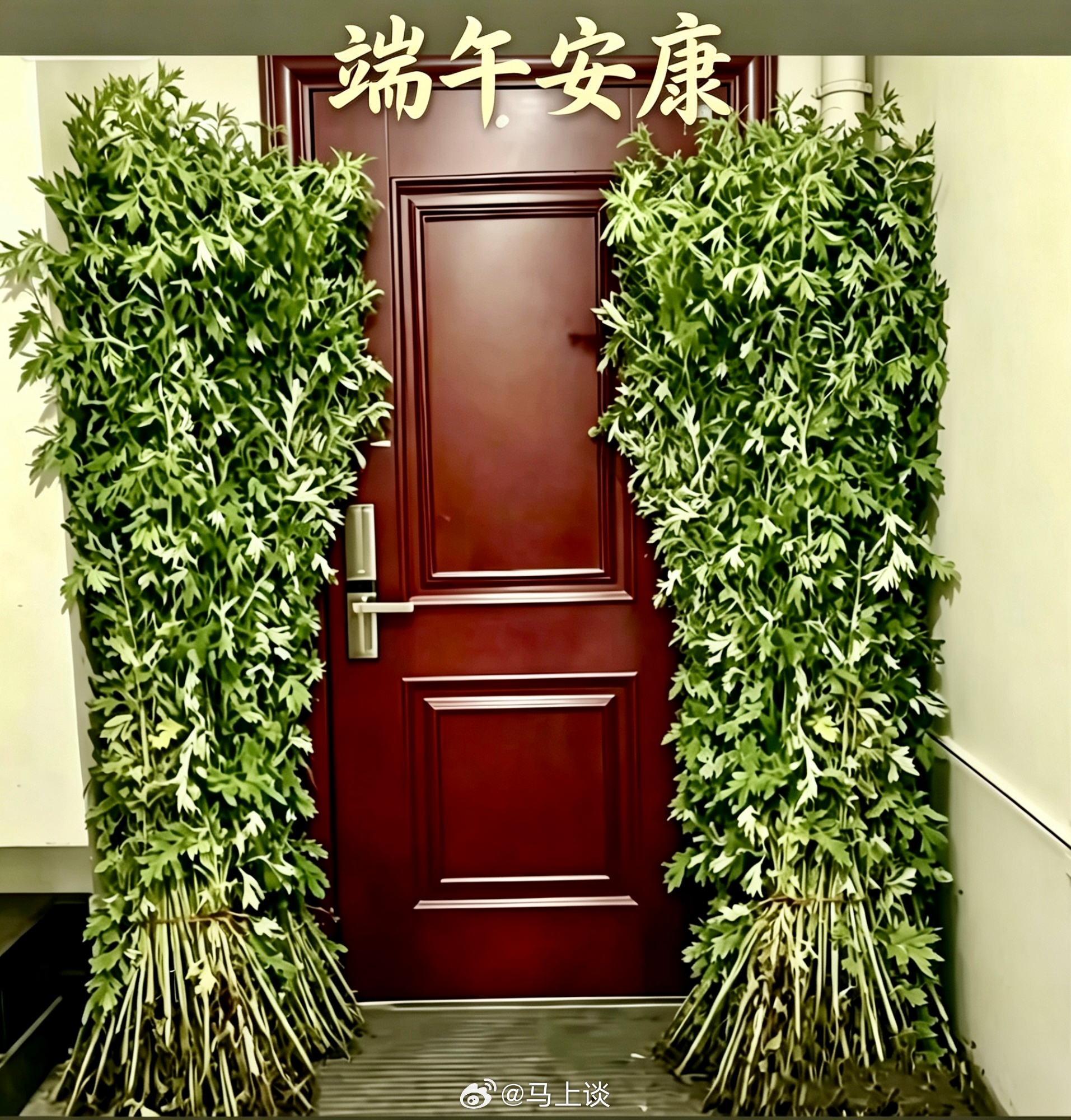 祝大家端午安康~ 