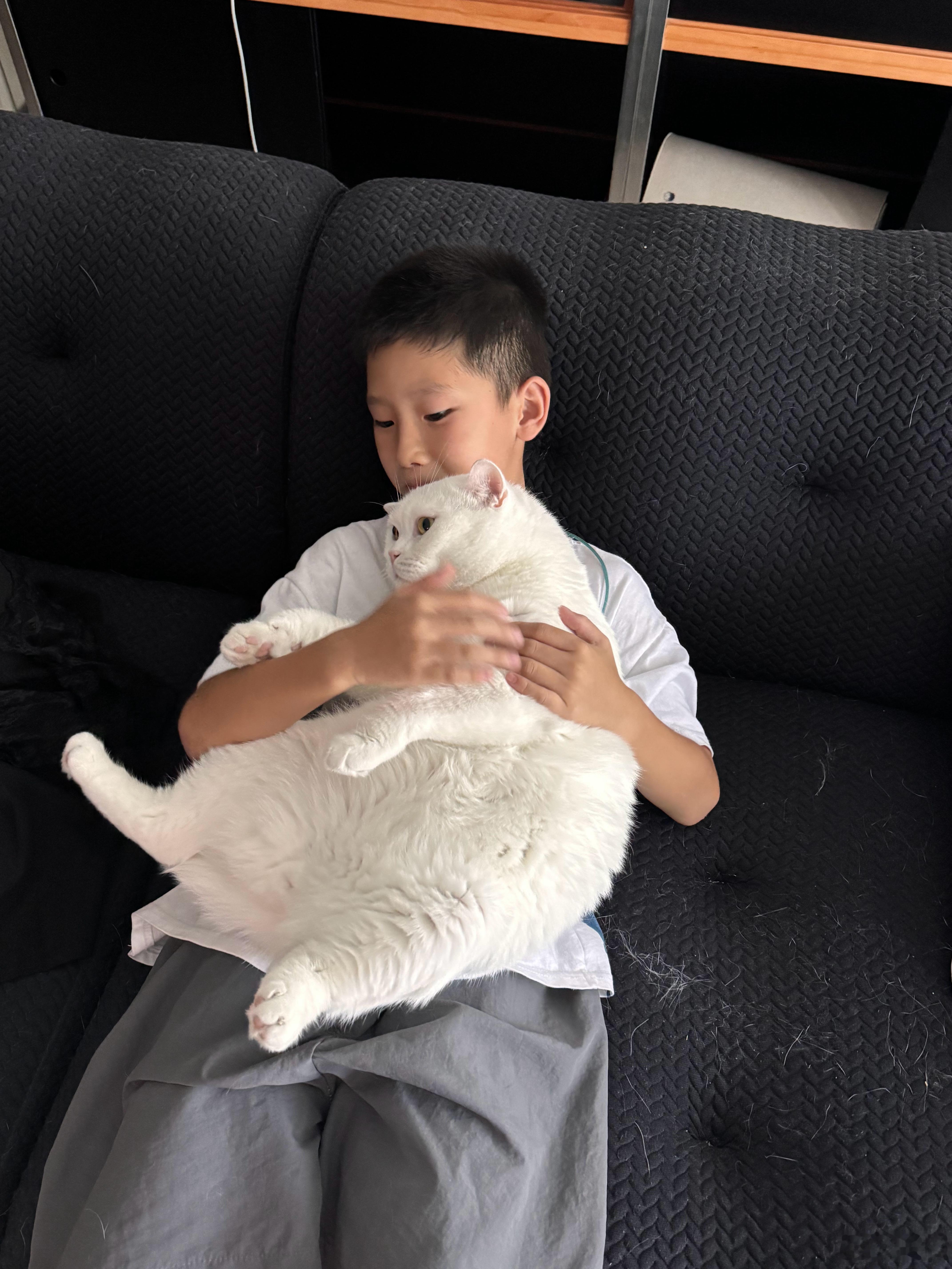 我出差那几天外甥天天打电话给我，说想我啦，想来我家玩，心想这小孩不错啊。刚好今天