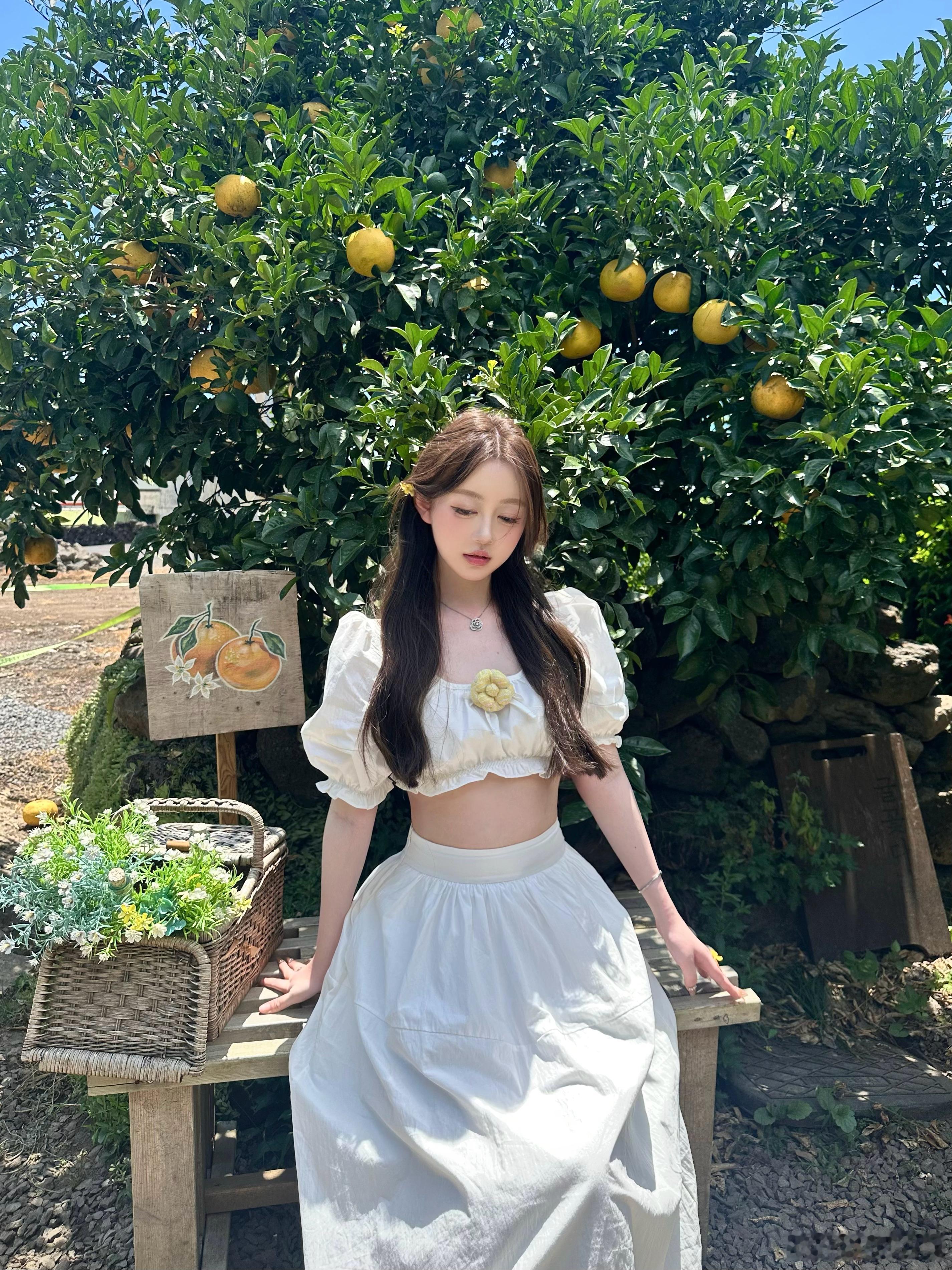 🍊귤꽃다락  ​​​