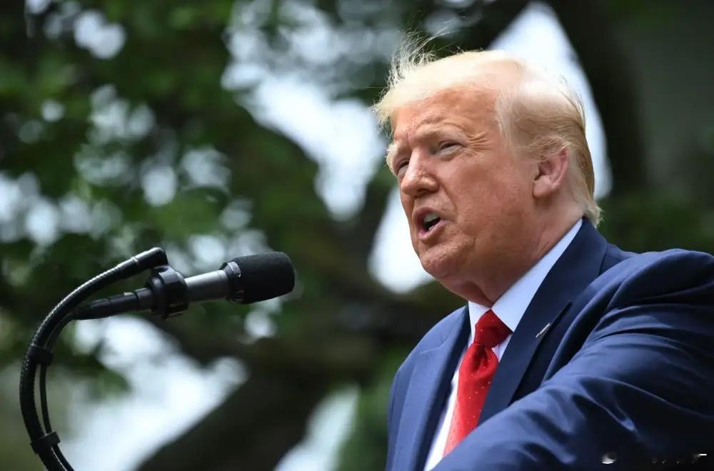 访华计划搁置，联手27国围堵中国？美欧刚达成对华同盟，中方反制即刻落地特朗普原本