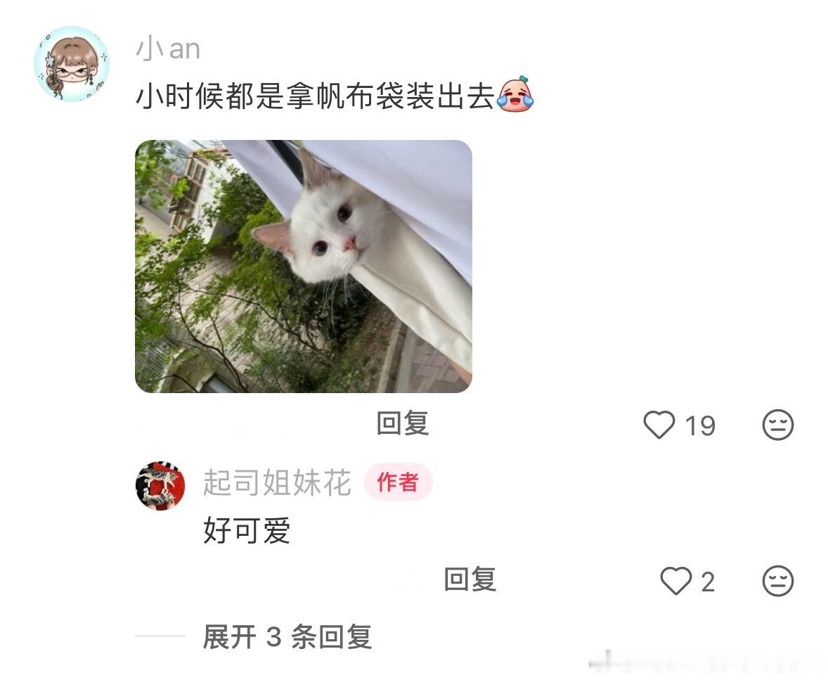 一代人有一代人的猫包 